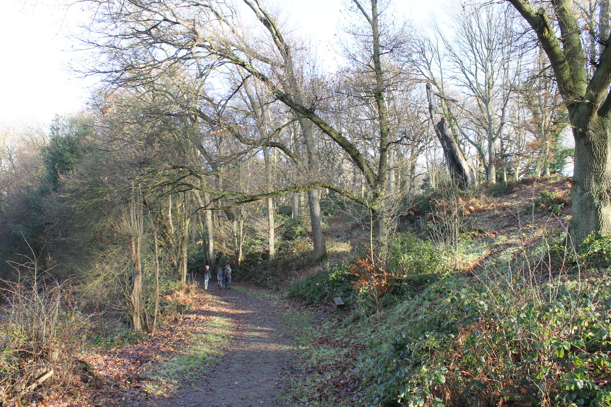 December - record photo 5 - at the viewpoint